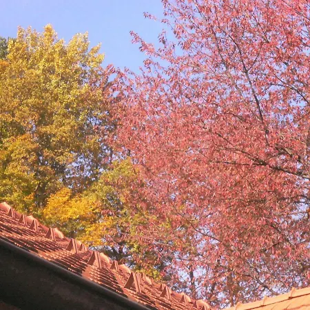 Nostalgie Lägenhet Ehrenhausen