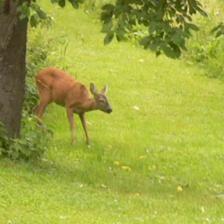 Nostalgie Ehrenhausen