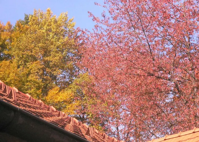 Nostalgie شقة إيهرينهاوزين